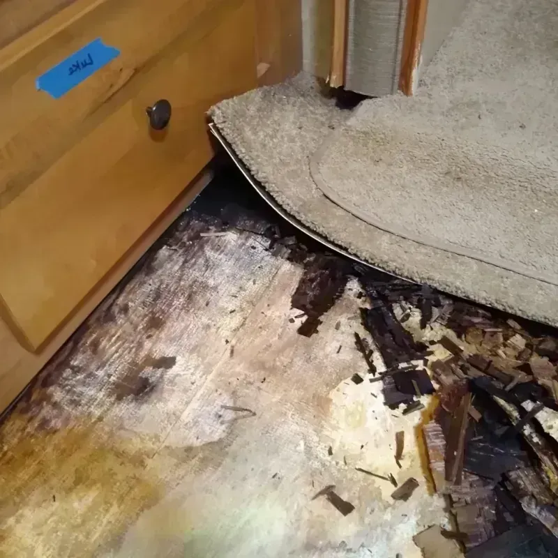 Wood Floor Water Damage in Marathon, FL